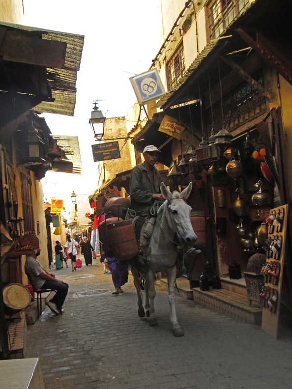 A mule in the medina of Fes, Morocco