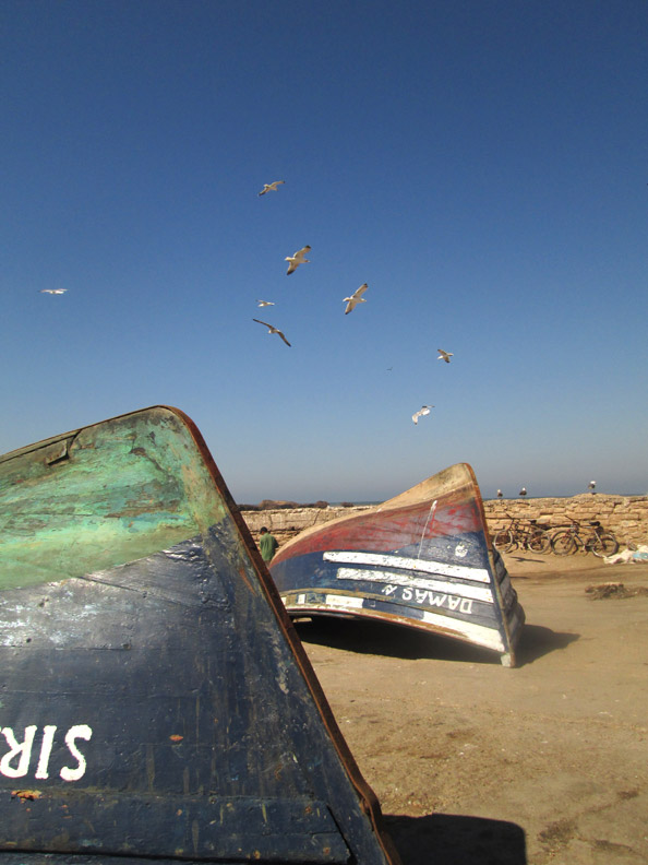 boats in Essaouira Morocco