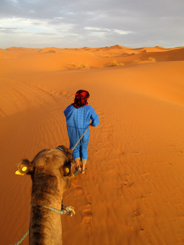 Our guide leading us through the dunes of the Sahara Merzouga Morocco