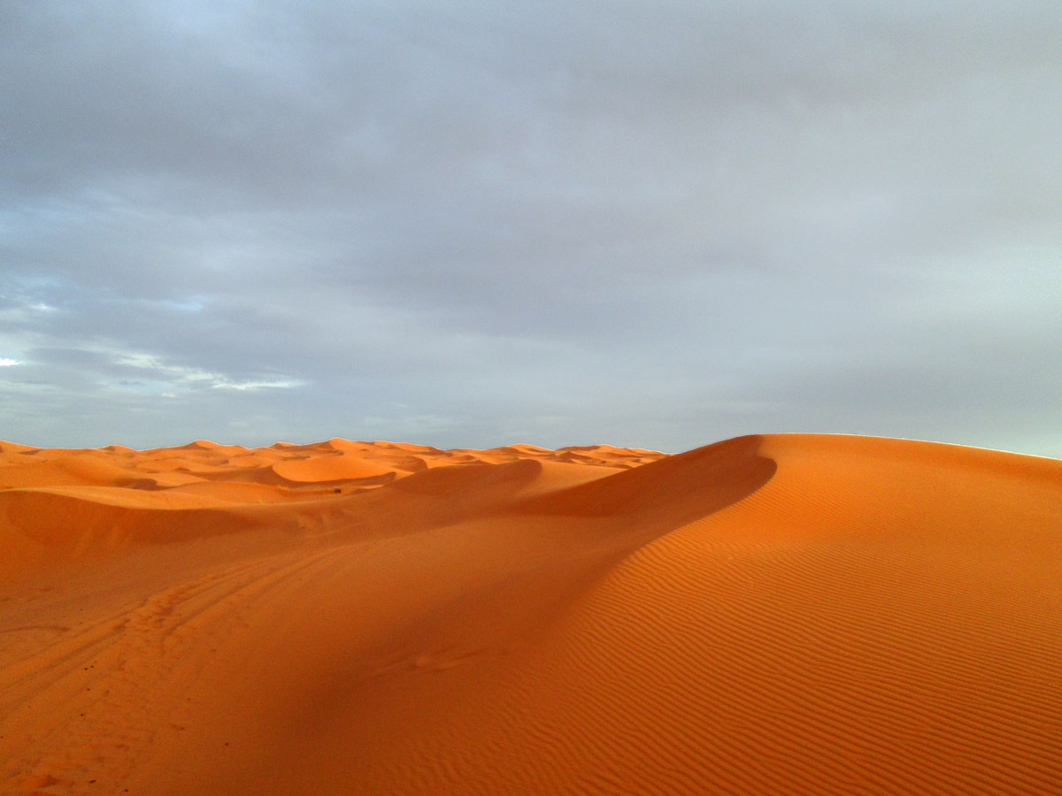 The sand dunes in the Sahara Desert near Merzouga Morocco