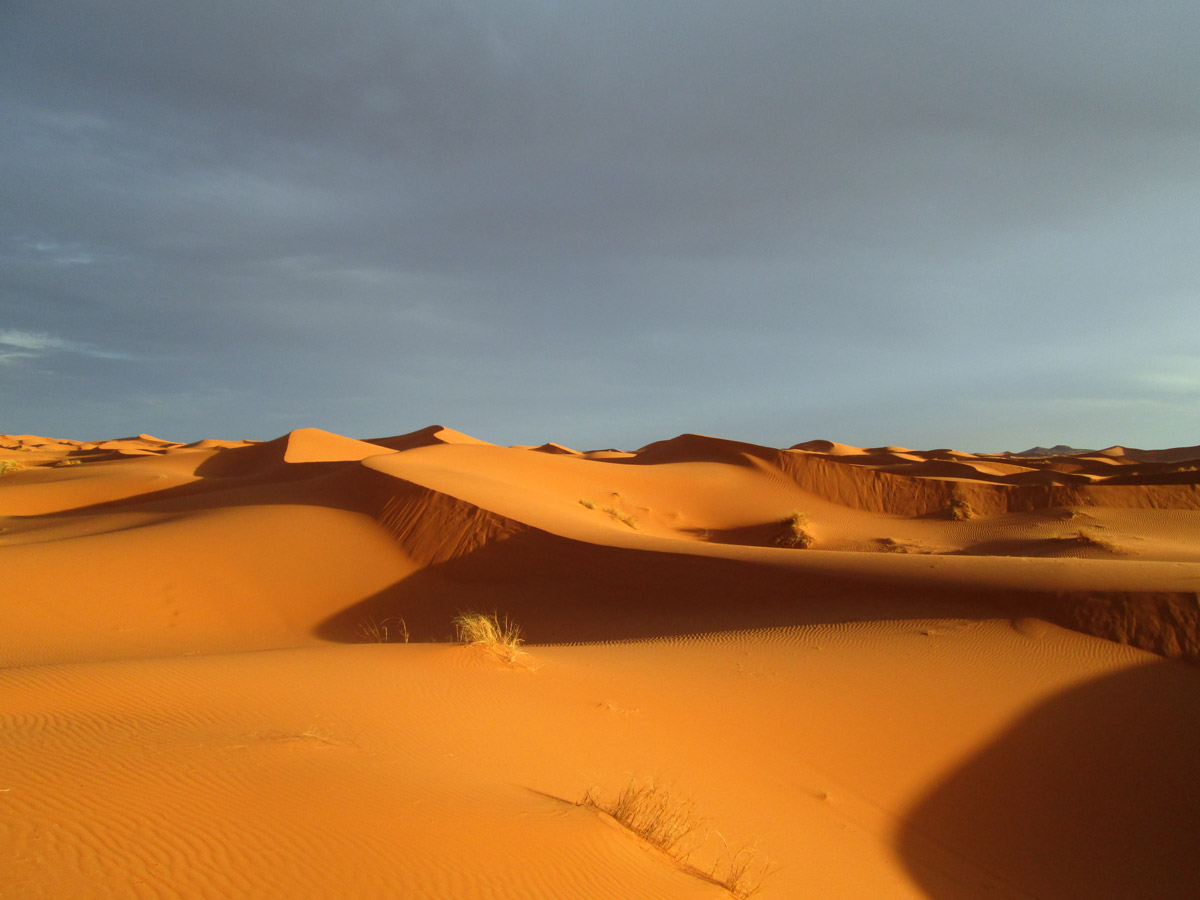 The sand dunes in the Sahara Desert near Merzouga Morocco