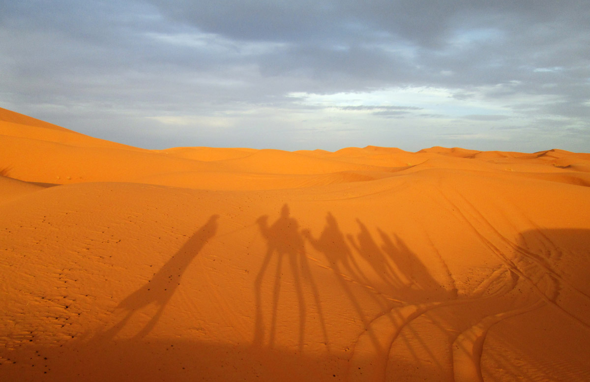 Shadows on the sand dunes in the Sahara Desert near Merzouga Morocco