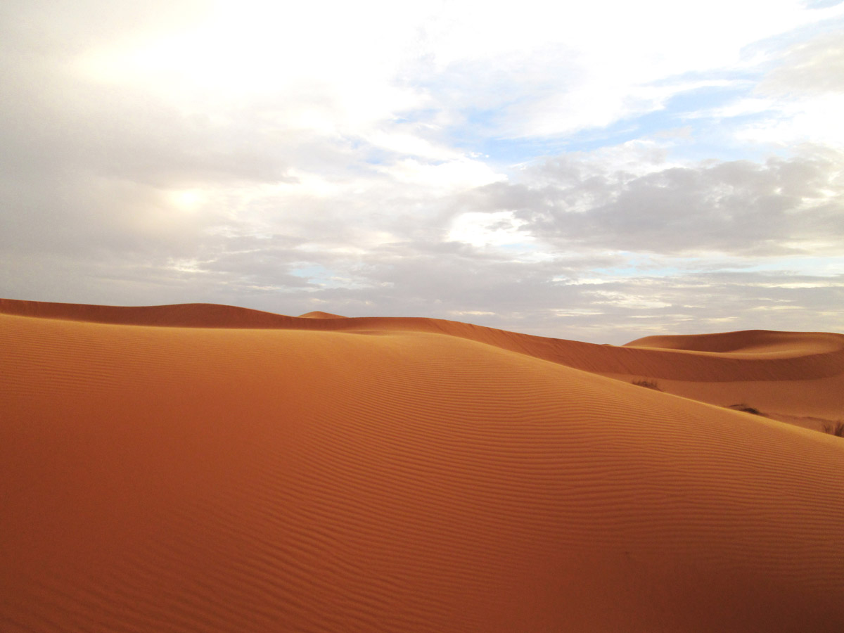 The sand dunes in the Sahara Desert near Merzouga Morocco