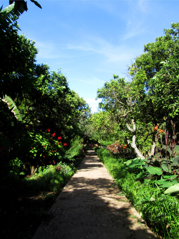 gardens of the Chellah Necropolis in Rabat Morocco