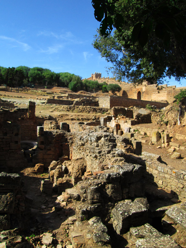 ruins of the Chellah Necropolis in Rabat Morocco