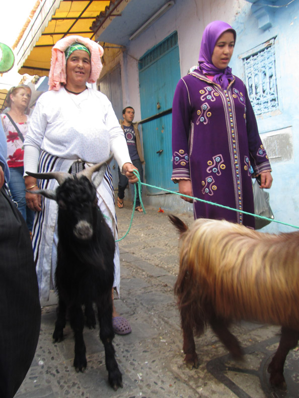 woman with goats at Farmers market in Chefchaouen Morocco